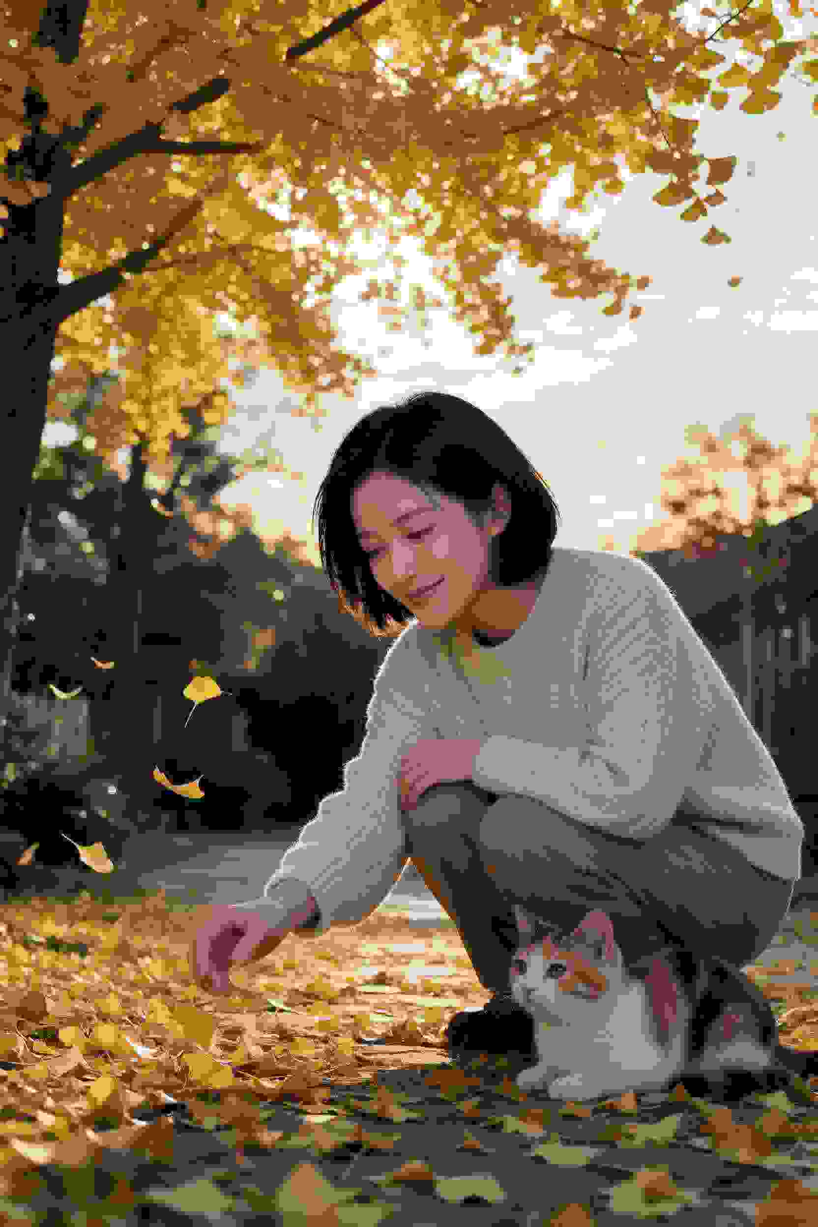 爆笑冒险